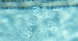 What do Clear Comfort bubbles look like? | Clear Comfort systems