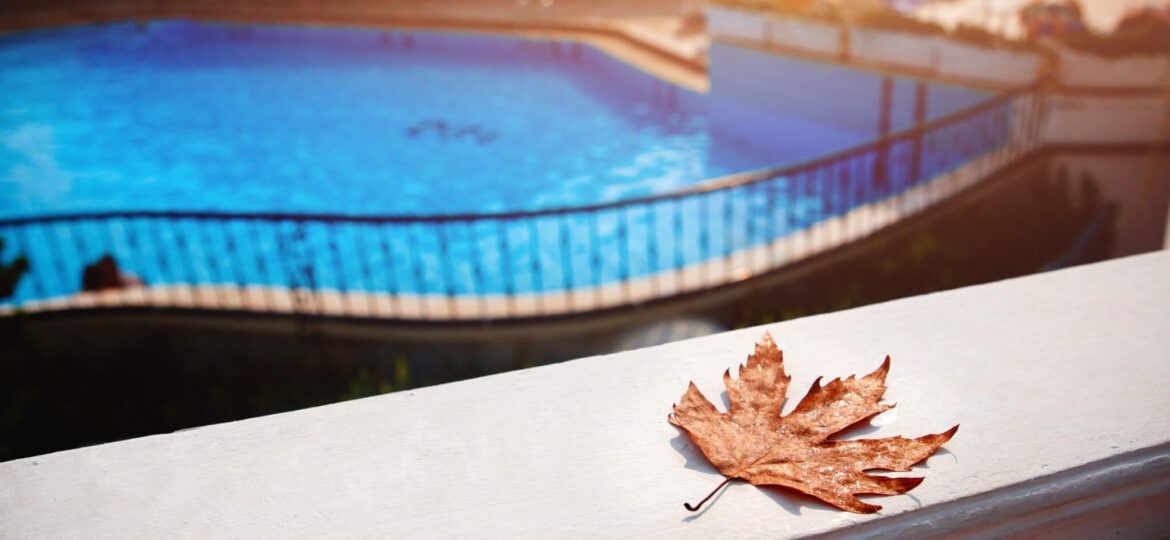 shutterstock_719022874 copy