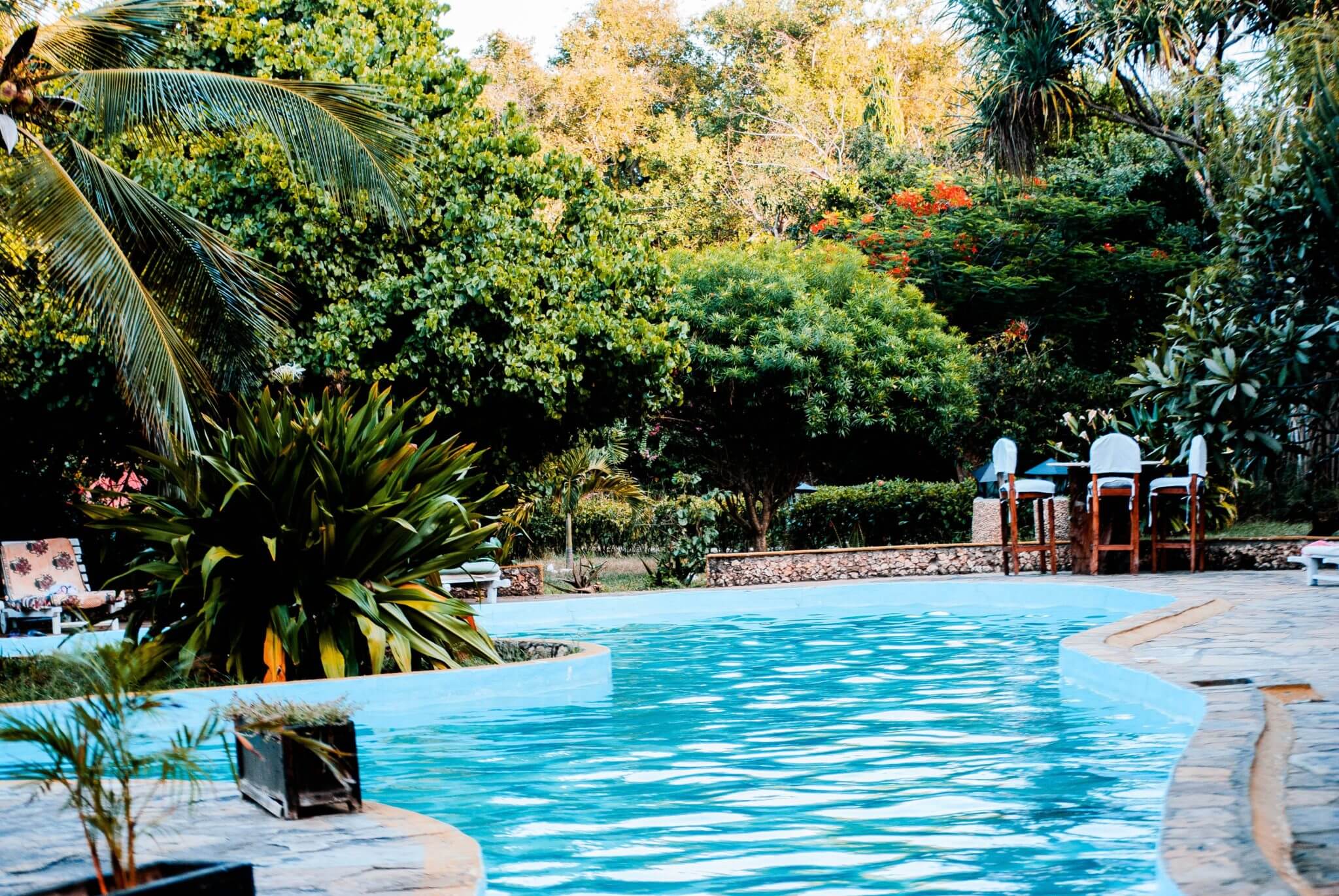 Best pool designs landscaping | Clear Comfort pool