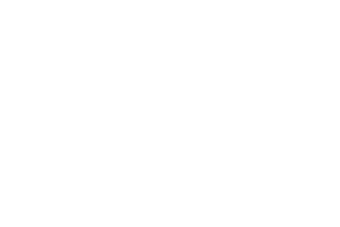 Media Logo _AQ