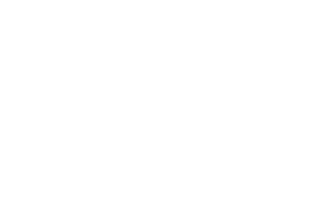 Media Logo _PP
