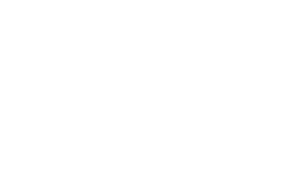 Media Logo _PSN