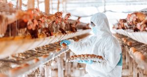 Livestock Biosecurity 101: Your Ultimate Guide to Thriving Animal Health | AOP Livestock Drinking Water Treatment