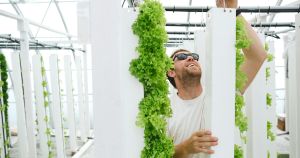 The Ultimate Guide: Controlled Environment Agriculture CEA Types & Requirements | Horticulture | CEA Clear Comfort AOP Water Treatment