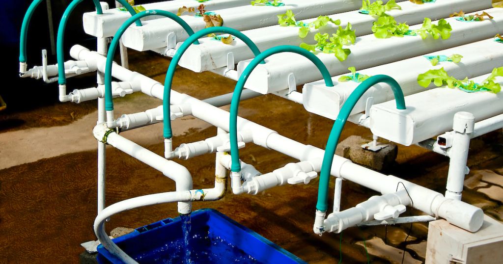 Enhancing Hydroponics: The Role of Reverse Osmosis | Clear Comfort AOP Hydroponic Water Treatment